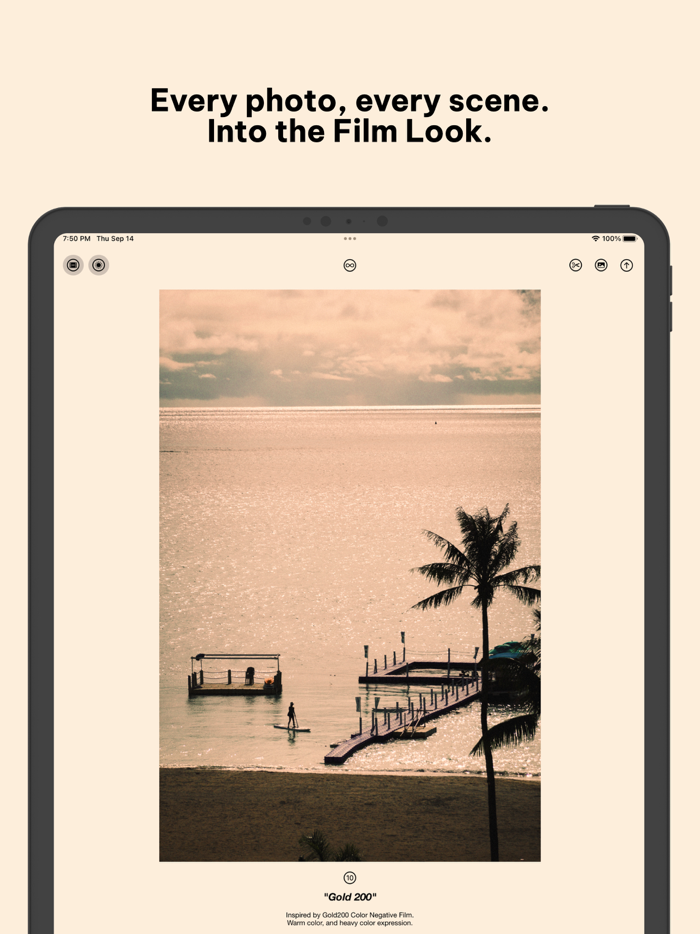 Negative - Film Look Filter.