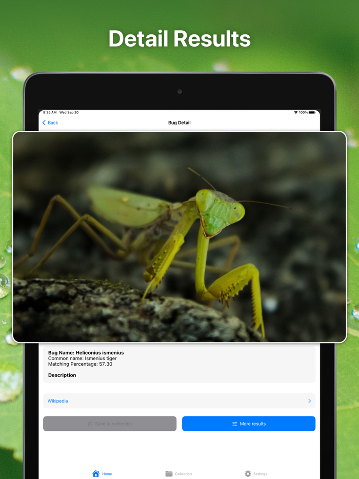 Bug Identifier Insect Id