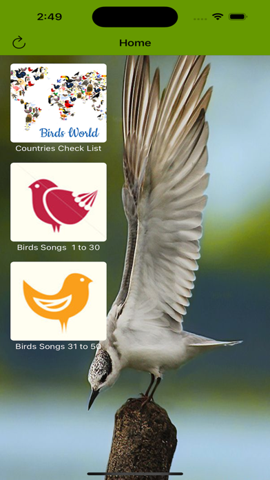 Screenshot #1 pour Common Birds Songs