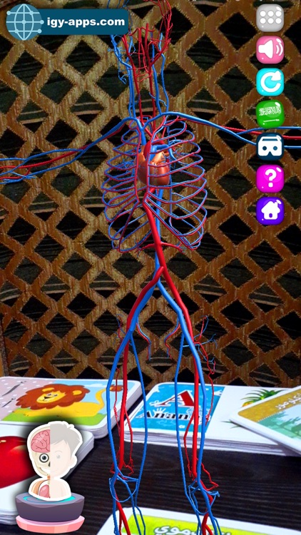 AR Kid's Kit 4D screenshot-8