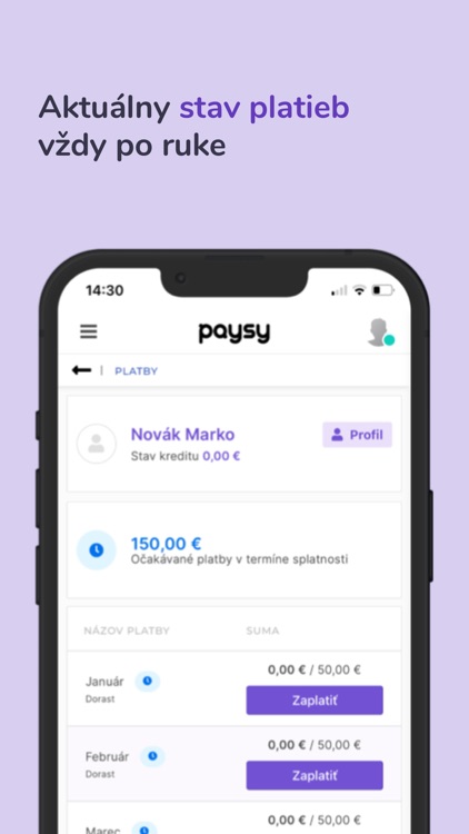 Paysy screenshot-3