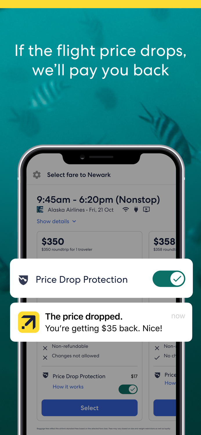 Expedia Hotels Flights and Car