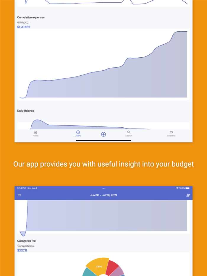 iSaveMoneyGo Budget spending