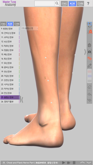 Master Tung`s Acupoint Anatomy Screenshot