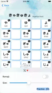 japanese alphabet & character iphone screenshot 3