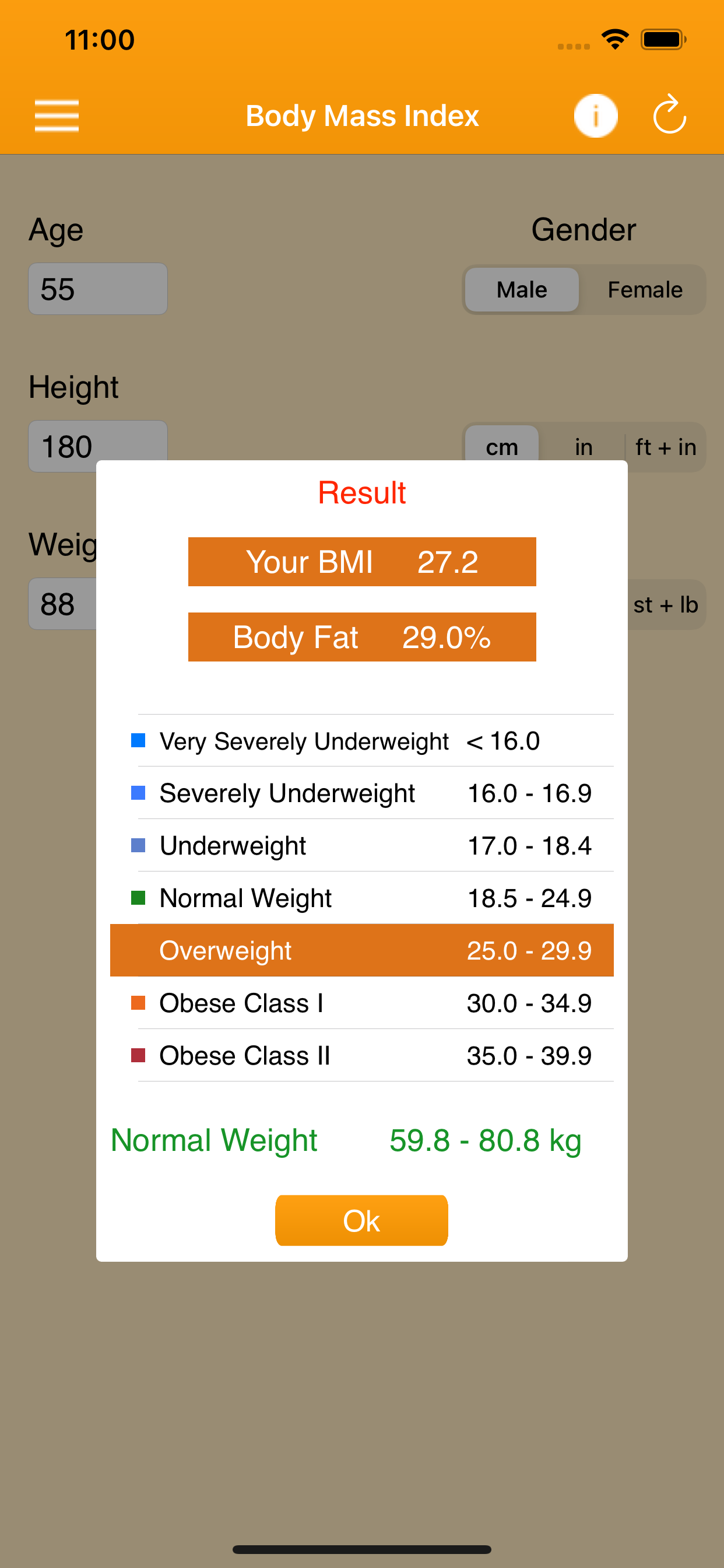 BMI Calculator for Men & Women
