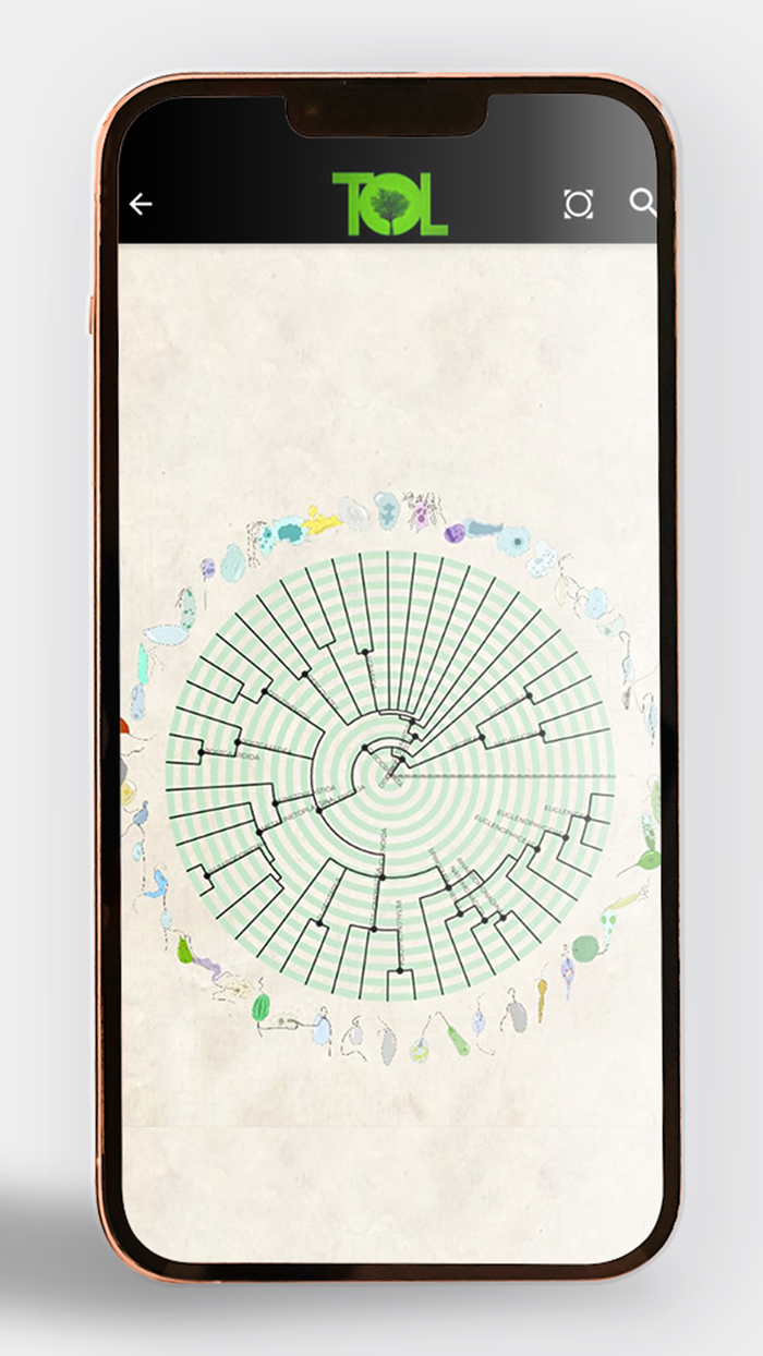 Tree of Life - ToL App