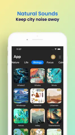 Game screenshot Owl FM - Calm, Relax, Focus hack