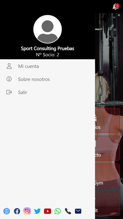 DS Fitness Club Screenshot