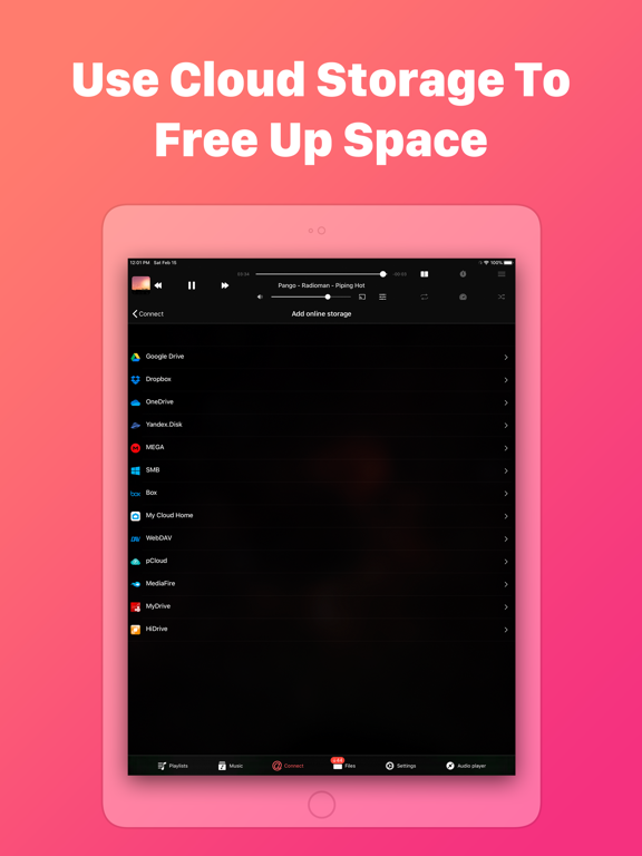 Evermusic Pro: music player IPA Cracked for iOS Free Download