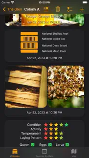 How to cancel & delete bee squared beekeeping 1