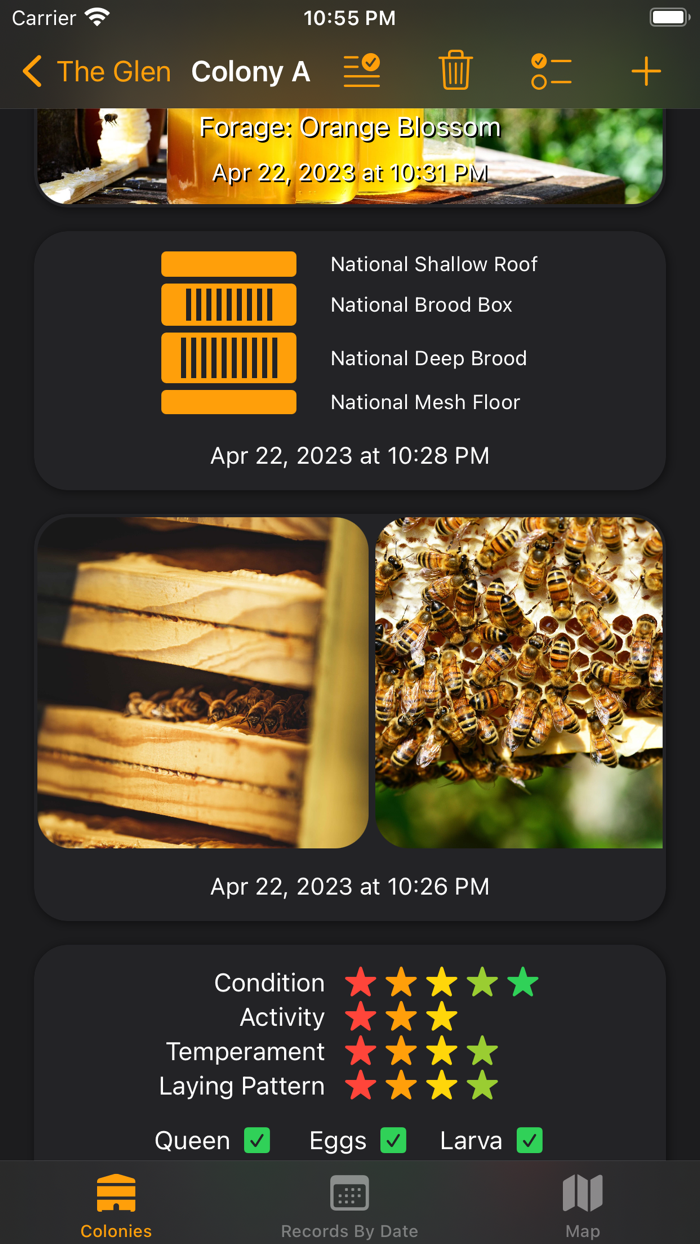 Bee Beekeeping Assistant