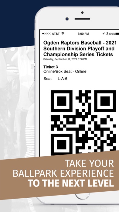 Pioneer Baseball League PBL Screenshot