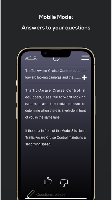 mia for Tesla Screenshot