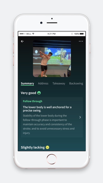 BirdiePT Screenshot
