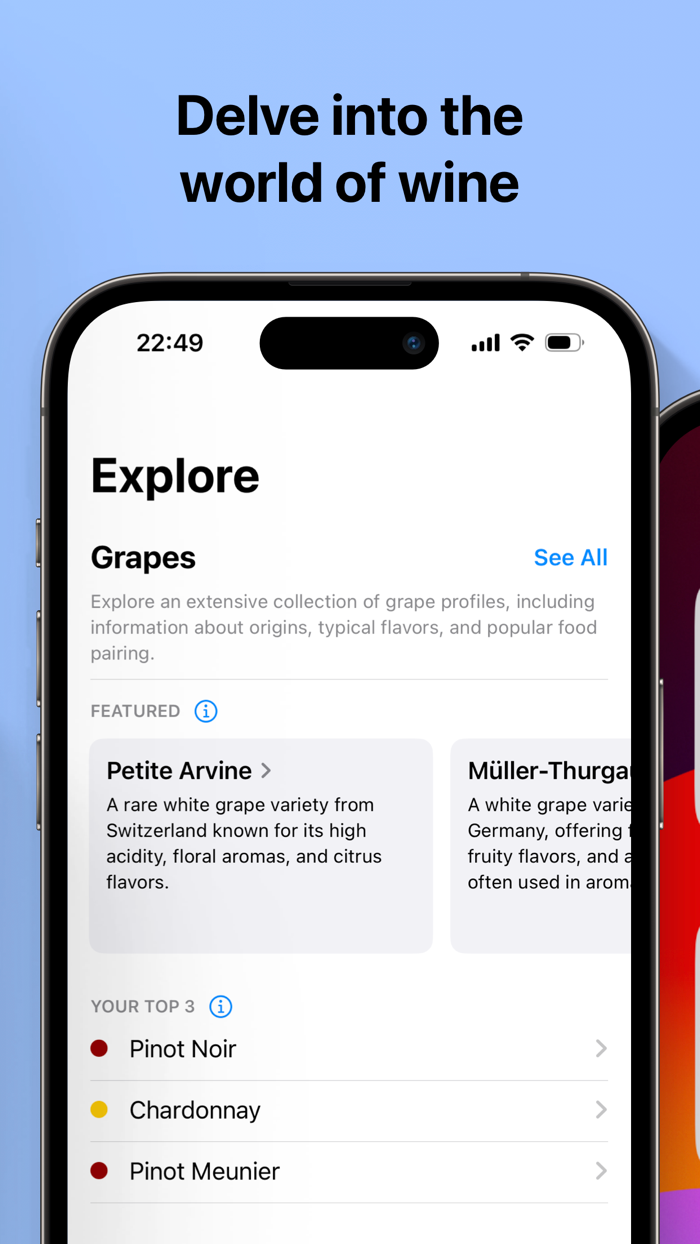 Sip Collect and Enjoy Wine
