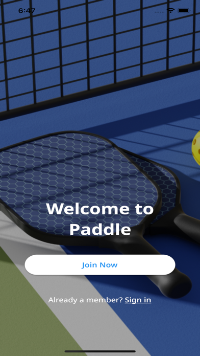 Paddle Games Screenshot