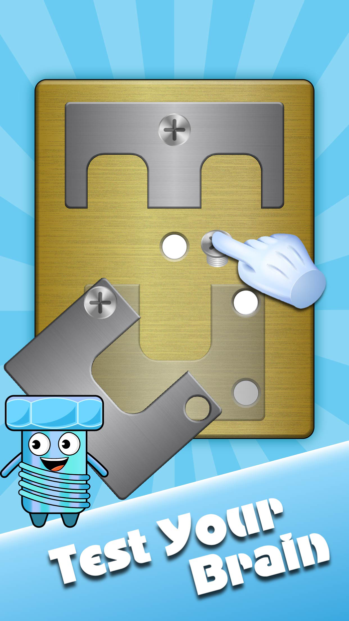 Screw Pin Puzzle Bolts Puzzle