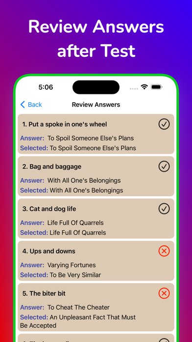 Idioms and Phrases. Screenshot