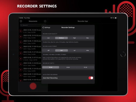 Audio Recorder Pro and Editor iPad app afbeelding 8