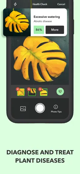 Game screenshot FYTA hack
