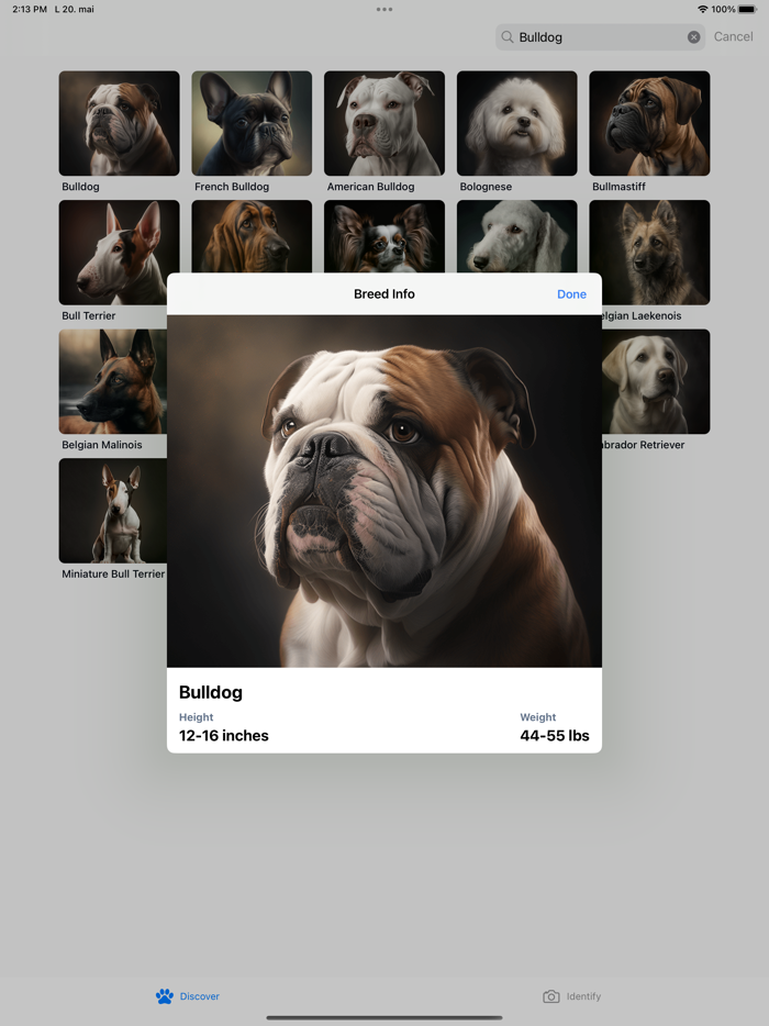 Dog Breeds HQ