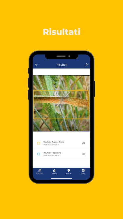 GranoScan screenshot-5