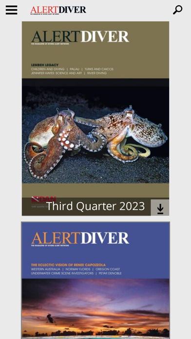 Alert Diver Screenshot