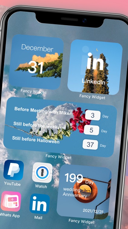 FancyWidget- Custom Widget