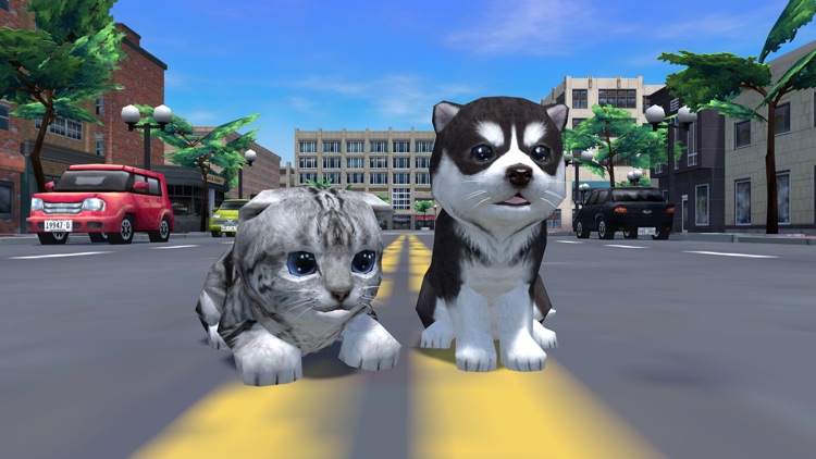 Cute Pocket Cat And Puppy 3D