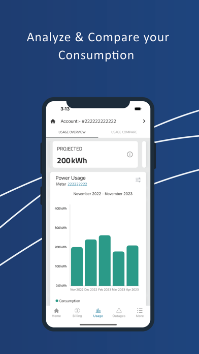 Cleco MyAccount Screenshot