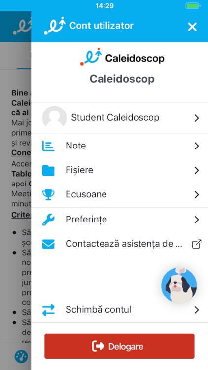 Caleidoscop screenshot-4