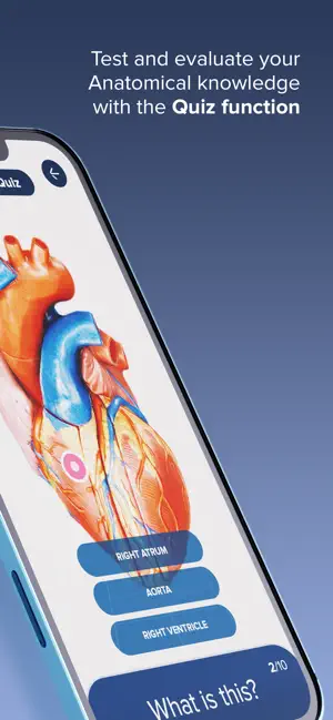 3B Smart Anatomy iPhone screenshot 4