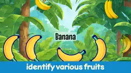 moomoo's fruit journey problems & solutions and troubleshooting guide - 1