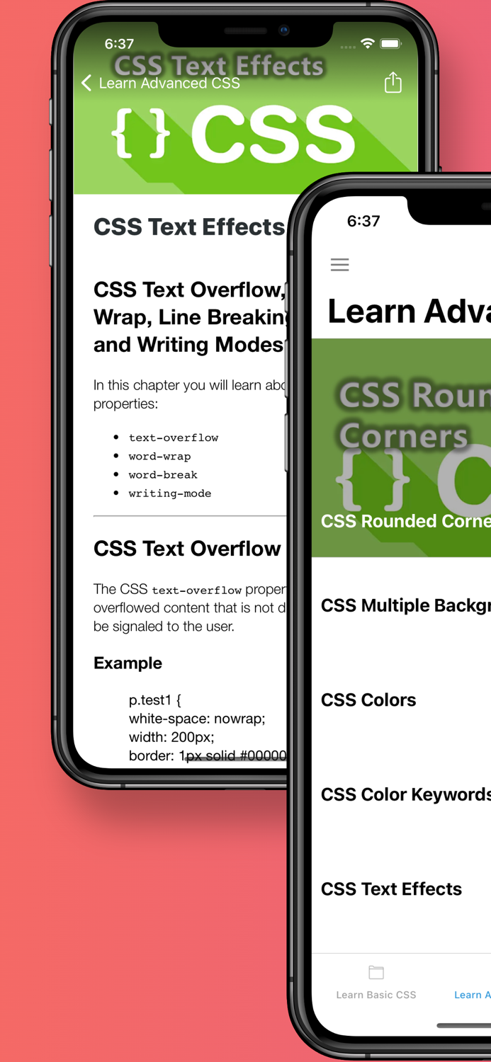 HTML and CSS - Learn Programming