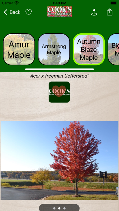 Cook's Farm and Greenhouse Screenshot