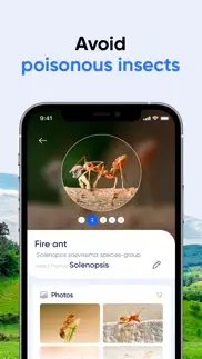 bug id: insect identifier ai iphone screenshot 1