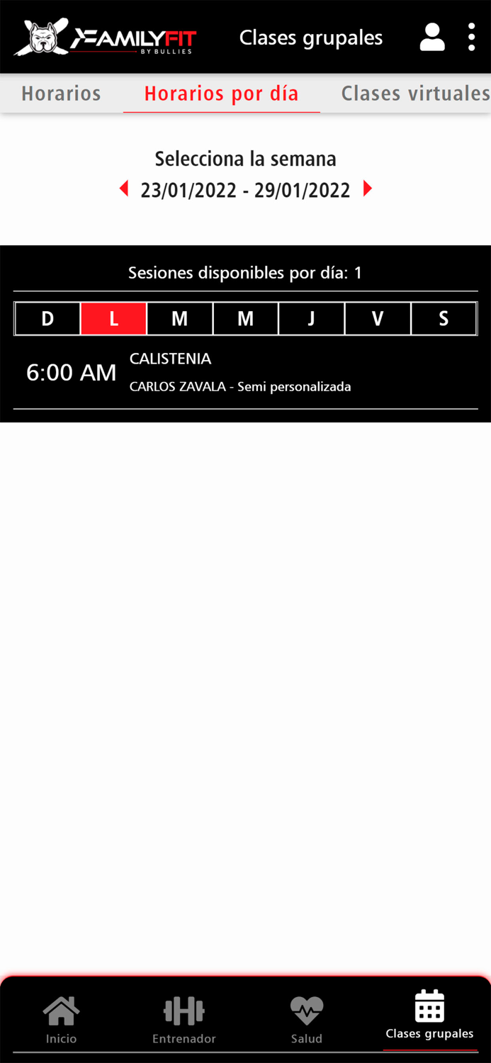 Family Fit By Bullies