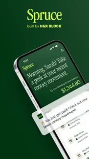 spruce – mobile banking iphone screenshot 1