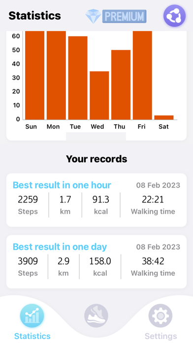 Pedometer and Step Tracker Screenshot