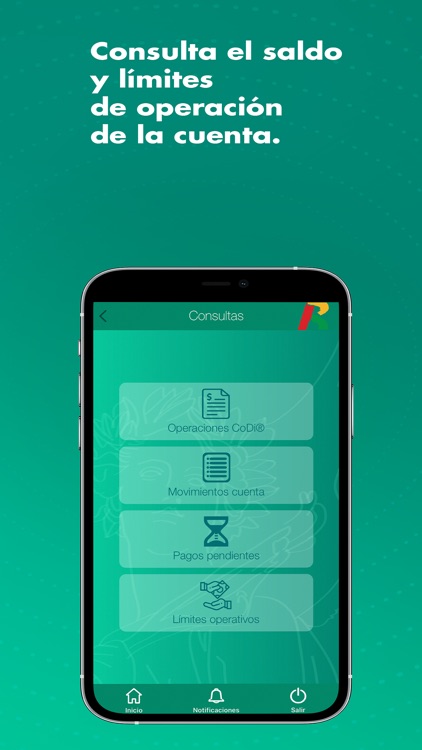 CoDi® Bansi screenshot-7