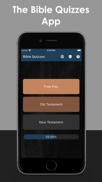 Discover the Bible - the Quiz Screenshot