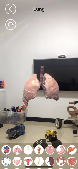Game screenshot AR Human Organs apk