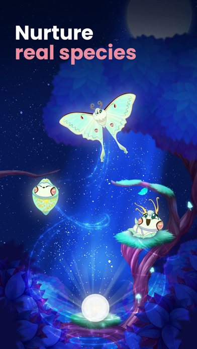 Flutter: Starlight Screenshot