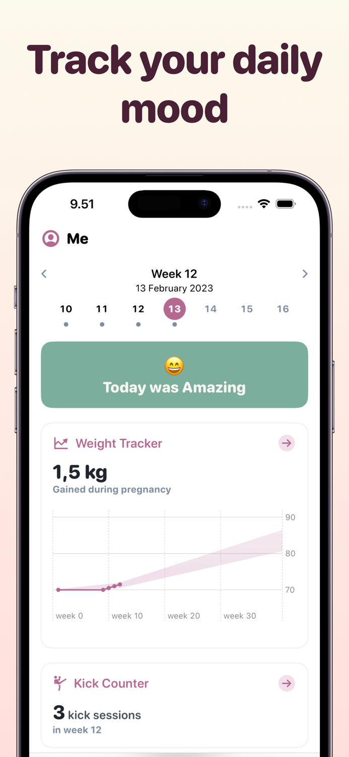 Pregnancy Tracker Countdown