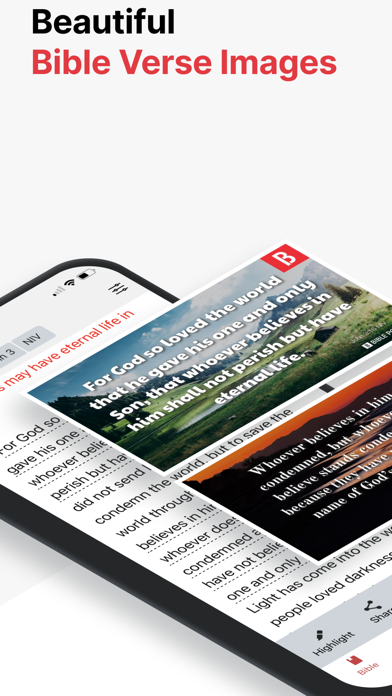 Bible Portal Screenshot