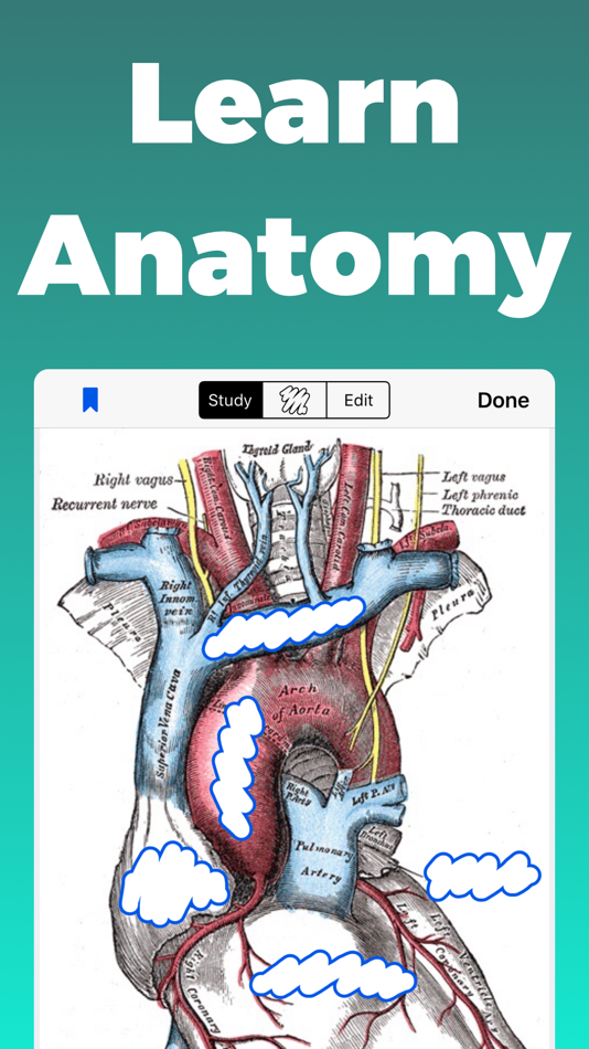 #1. Anatomy and Physiology GO (macOS) بواسطة: This Century Software