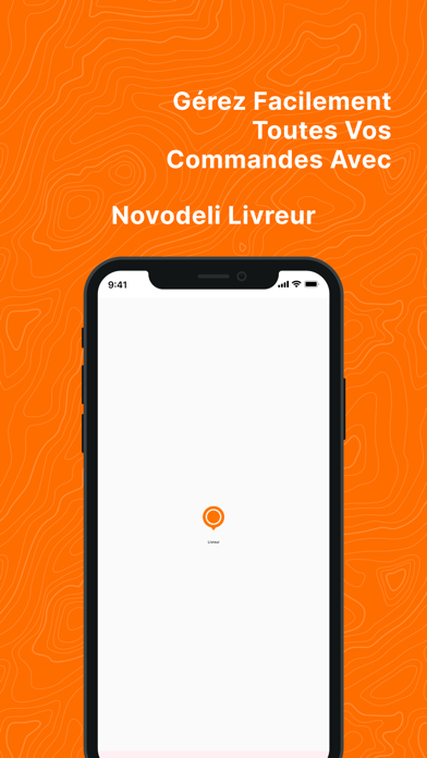 Novodeli Courier Screenshot