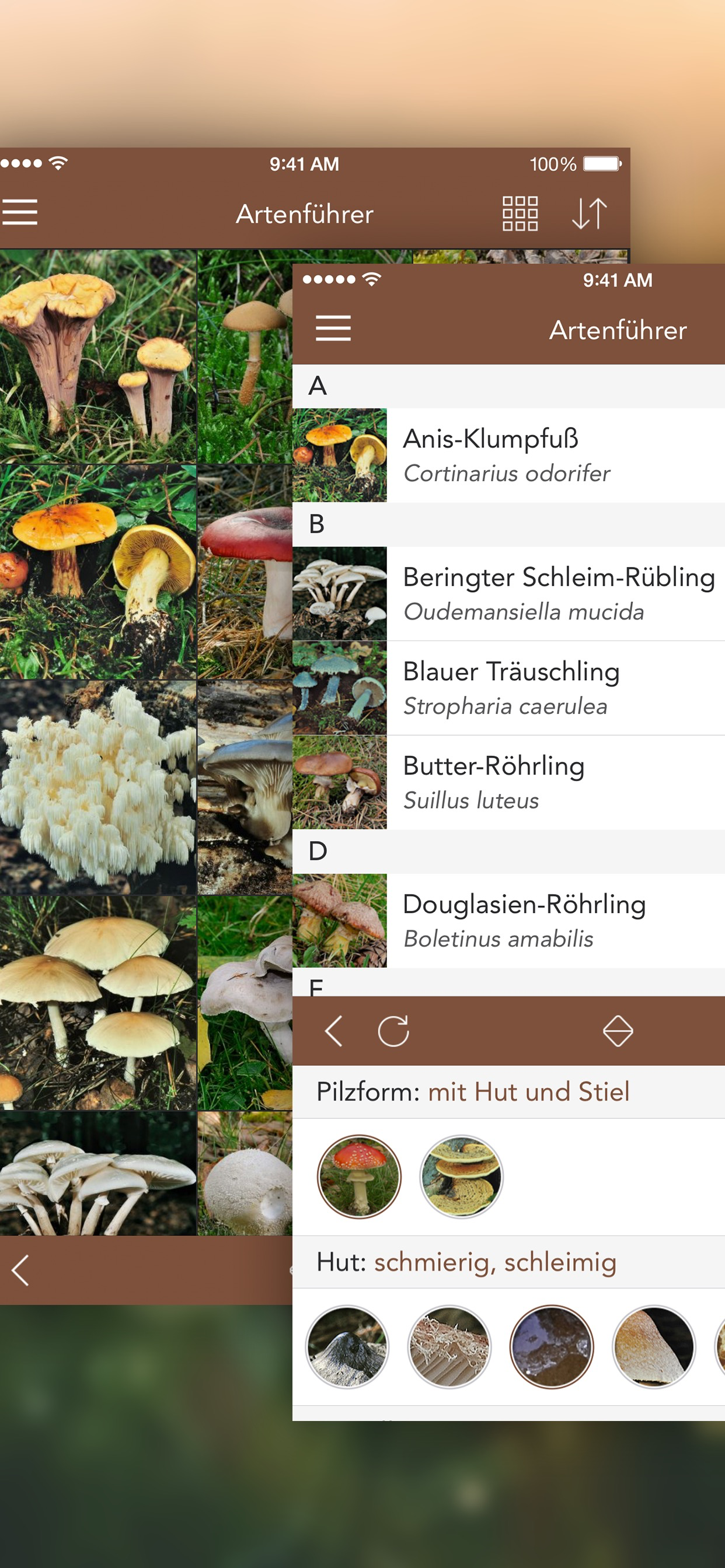Pilzführer LITE - Pilze