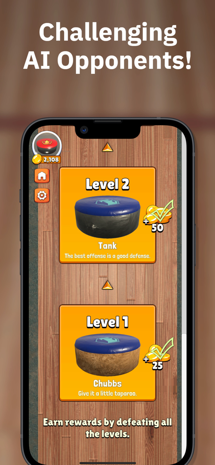 Tabletop Shuffleboard